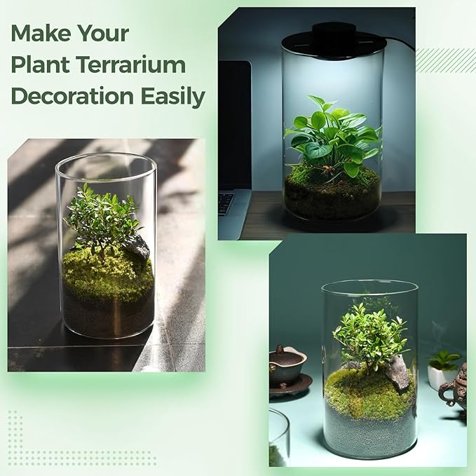 Desktop Glass Terrarium with Grow Light - Succulent Moss Miniature Gardening Landscape, Fish Tank Indoor Plant Growth Office Home Decoration Plant Lovers Gifts
