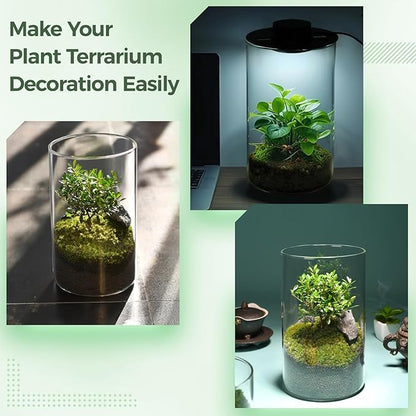 Desktop Glass Terrarium with Grow Light - Succulent Moss Miniature Gardening Landscape, Fish Tank Indoor Plant Growth Office Home Decoration Plant Lovers Gifts