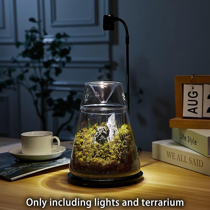 Glass Plant Terrarium with Lid 6.3"X7.9" Inches Succulent Air Planter Fern Moss Micro-Landscape Vase for Home Office Tabletop Decoration Container Indoor Wardian Copyright Patent（with Light）
