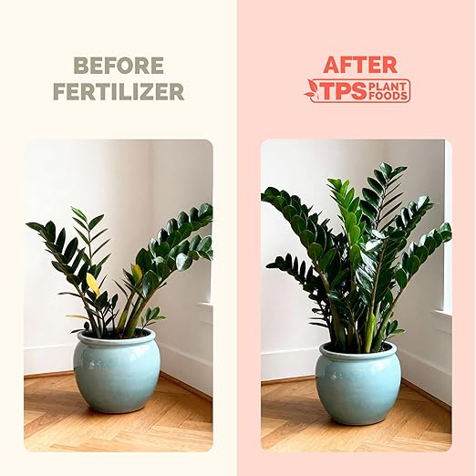 ZZ Plant Fertilizer for All Zamioculcas Plants, Liquid Plant Food 8 oz (250mL)