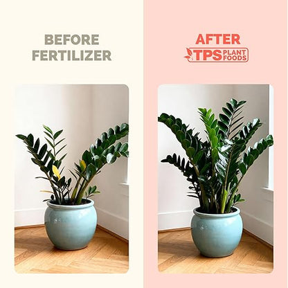 ZZ Plant Fertilizer for All Zamioculcas Plants, Liquid Plant Food, 32 oz (1 Quart)