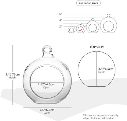 WGV Hanging Terrarium Globe, Width 2.5", Height 3", DIY Air Succulent Planter, Clear Glass Vase Orb with Flat Bottom, Candle Holder for Windowsill Outdoor Garden Decor, 24 Pieces Bulk