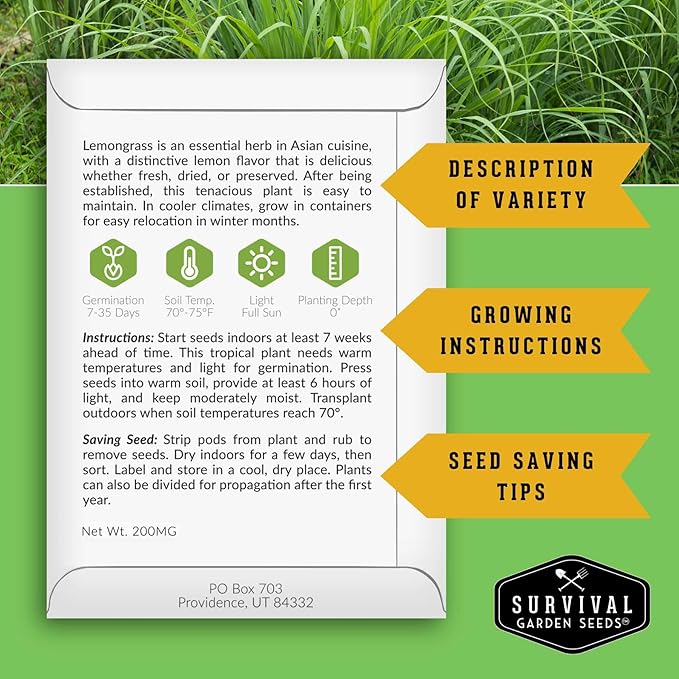 Lemongrass Seeds for Planting - Lemon Scented Asian Lemongrass for Your Home Vegetable Garden - Heirloom Non-GMO Open-Pollinated - Survival Garden Seeds (3 Packs)