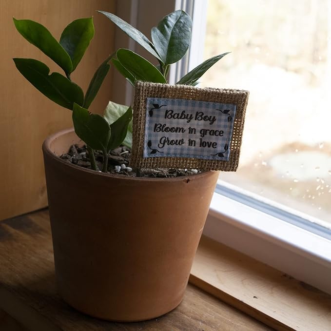 Abbey & CA Gift Baby Boy Flower Pick Flag