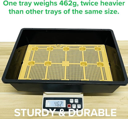 BeGrit Seed Starter Trays Durable Plant Trays 13x17inch Mesh Seedling Trays Perfect for Indoor, Outdoor, Greenhouses 10 Pack