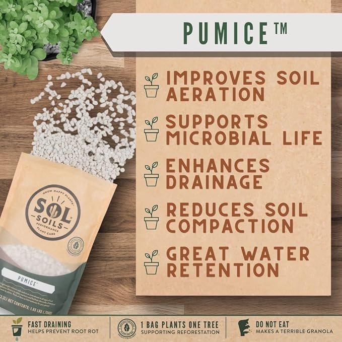 Sol Soils Horticultural Pumice - Lightweight, All-Natural Volcanic Rock Soil Amendment to Improve Drainage, Aeration & Maintain Moisture Balance – Filtered 3/8" to 1/4" - (1 Gallon)