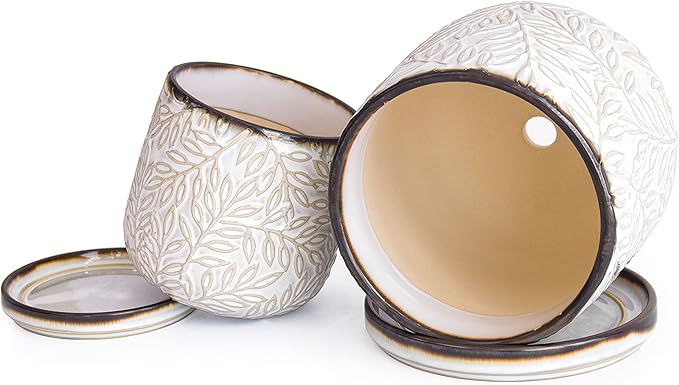 D'vine Dev Embossed Leaves Design 4 Inch & 6 Inch Stoneware Planter Pot with Drainage Hole and Saucer, Smoked White, 27-B-U-1