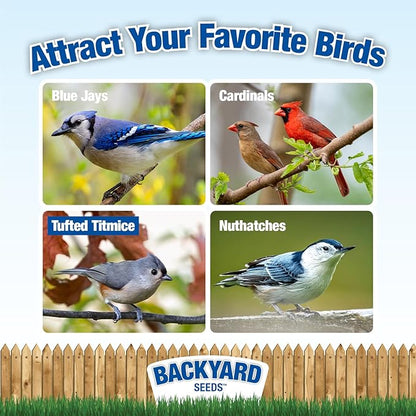 CountryMax Backyard Seeds Wild Bird Seed Blend 20lbs - Premium No-Waste Mix with Sunflower Chips, Shelled Peanuts & Hulled Millet, Medium Bag of Wild Bird Food
