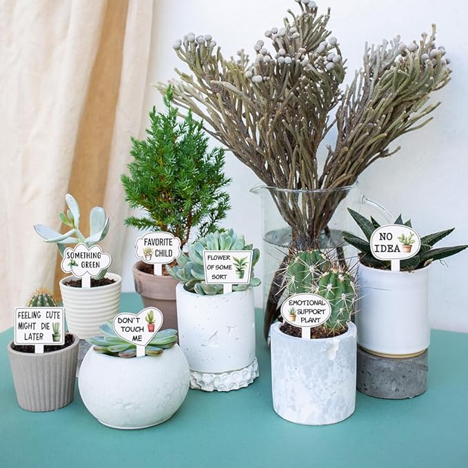 arricraft 15 Pcs Funny Phrases Plant Labels, 15 Styles Acrylic Succulent Cactus Pattern Potted Plant Markers for Indoor Outdoor Seed Patio Supplies 10.2x6.8cm(4x2.68inch)