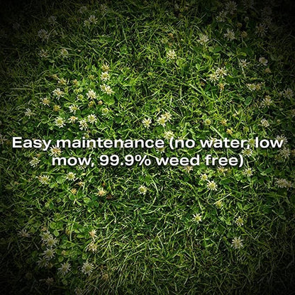 Twin City Seed Co. Bee Lawn Mix, Grass & Flower Mixture, 25 lb Bag