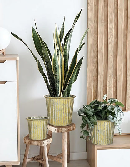 Gold Metal Rustic Flower Pots - 3 PCS Galvanized Planters Rustproof Durable Metal Buckets Plant Pots Vintage-Inspired Charm Rustic for Farmhouse Garden Herb Indoor Outdoor Decor(Dia.5.5"/6.5"/7.1")