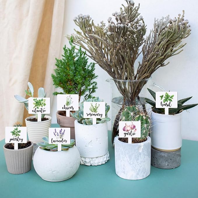 arricraft 15 Pcs Acrylic Plant Label Signs, Herbal Themed Waterproof Garden Stake Labels T-Shaped Plant Marker with Herbal Names for Indoor Outdoor Potted Plants Nursery Marker Decoration