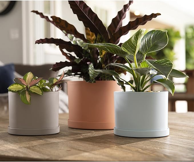 Bloem Mathers Planter w/Saucer Tray 8" Misty Blue (Pack of 3)