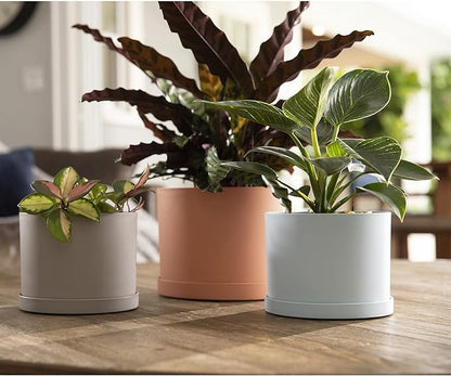 Bloem Mathers 6" Pebble Stone Round Modern Resin Garden Planter Pot with Drainage Holes and Removable Saucer Tray Included