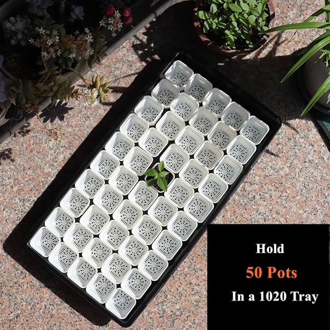 BangQiao 200 Pack 1.95 Inch Tiny White Plastic Square Nursery and Seedling Pot, Mini Transplant Seed Starter Planter with Drain Hole for Germination, Herb, Succulent
