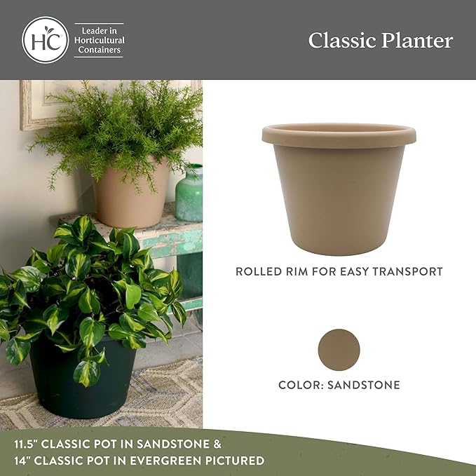 The HC Companies 11.5 Inch Classic Round Planter Pots with Drainage, Rolled Rim Plastic Planters for Indoor & Outdoor Plants, 2-Pack Decorative Flower Pots for Garden, Office & Home Decor, Sandstone