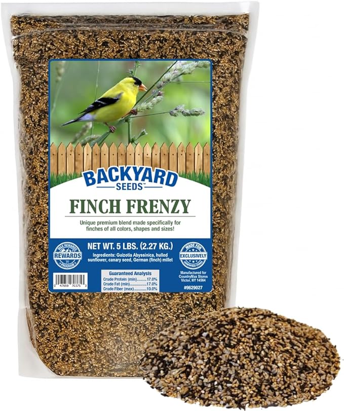 CountryMax Backyard Seeds Finch & Small Songbird Frenzy 5lbs - Premium Nyjer Thistle Seed Blend for Finch Feeders, Small Bag of Wild Bird Food