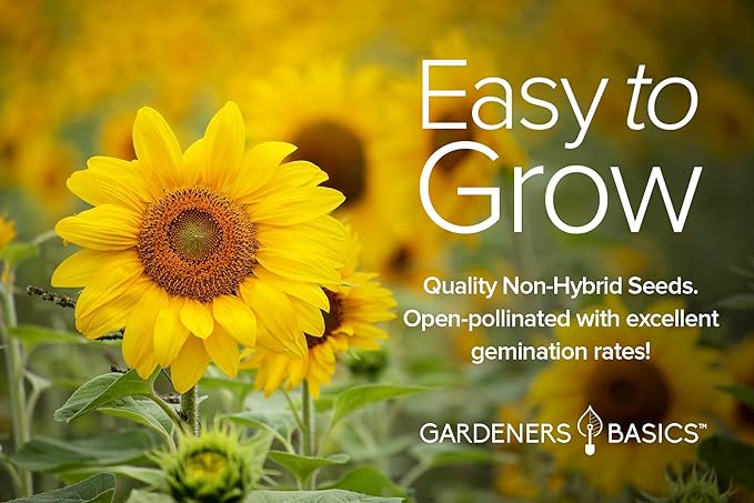 Gardeners Basics Sunflower Seeds for Planting Flowers - Velvet Queen, Skyscraper, Lemon Queen, Giant, Autumn Beauty, Chocolate Cherry, Dwarf Sunspot and Mammoth Bulk Outdoor Flower Garden, Pack of 8