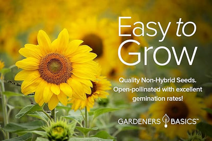 Gardeners Basics Sunflower Seeds for Planting Flowers - Velvet Queen, Skyscraper, Lemon Queen, Giant, Autumn Beauty, Chocolate Cherry, Dwarf Sunspot and Mammoth Bulk Outdoor Flower Garden, Pack of 8