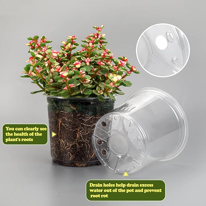 RAOOKIF 25 Pack 3.5 Inch Clear Nursery Pots with Drainage Holes, Flexible Plastic Nursery Pots for Plants, Reusable Garden Flower Pot, Seed Starter Pots