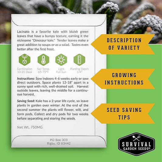 Kale Seeds 5 Variety Pack for Planting | Red Russian, Scarlet, Lacinato, Siberian & Ornamental Kale Seeds – Heirloom Non-GMO Cool Weather & Winter Greens – Survival Garden Seeds