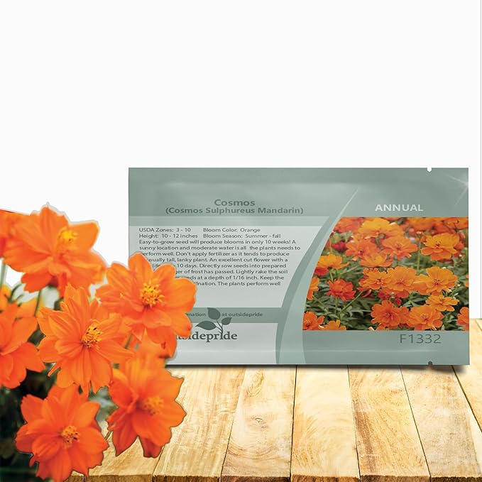 Outsidepride Mandarin Cosmos Sulphureus Seeds - 100 Pcs Annual, Pollinator-Friendly & Drought Tolerant Flower Seeds for Planting w/Vibrant Double Blooms for Low Maintenance Landscaping & Xeriscaping