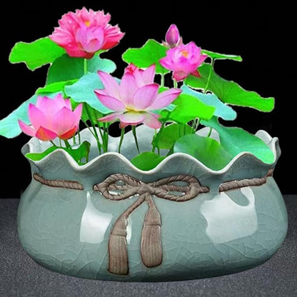 Lotus Bowl Planter, Decorative Ceramic Plant Pots with Moisture-Multifunctional Design, Succulents Orchids Indoor Plants, Thickened Round Planter for Home Desk & Shelf Decor (Cornucopia)