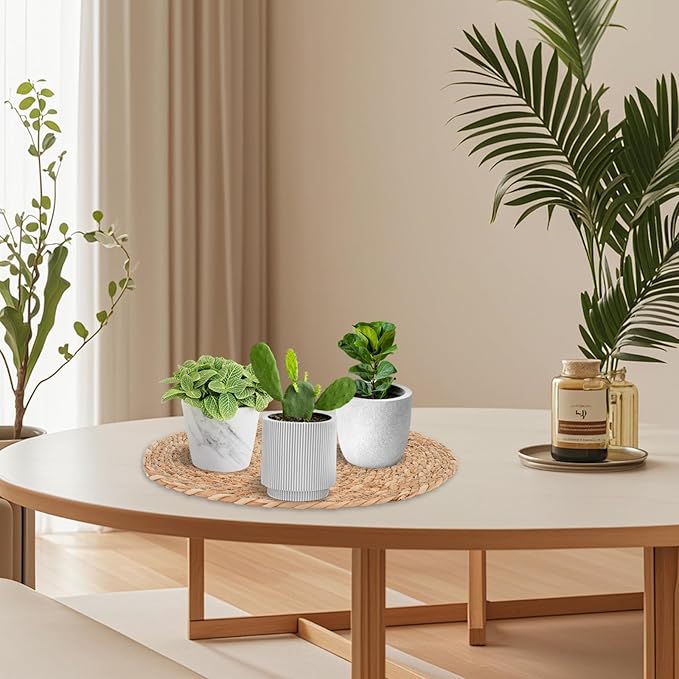 6 Pack 16 Inch Large Woven Plant Coasters for Floor, Natural Seagrass Plant Mats for Indoor House Plants, Thick Round Flower Pot Pads for Carpet & Hardwood Protection, Boho Farmhouse Decor