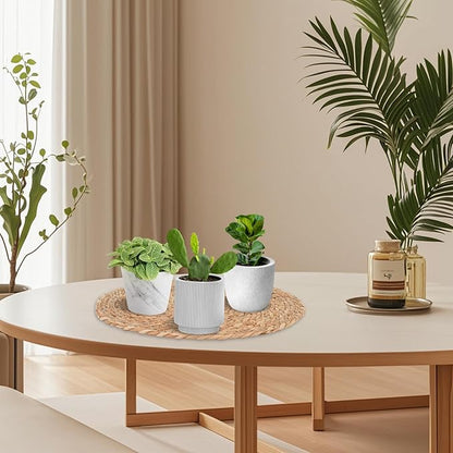 6 Pack 16 Inch Large Woven Plant Coasters for Floor, Natural Seagrass Plant Mats for Indoor House Plants, Thick Round Flower Pot Pads for Carpet & Hardwood Protection, Boho Farmhouse Decor