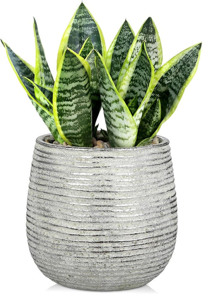 DILATATA Ceramic Pots with Drainage Hole 6.7 Inch Flower Plant Pot Indoor Round Planter Pot for Succulents, Cacti, Cactus, Snake Plants Home Decor - Silver