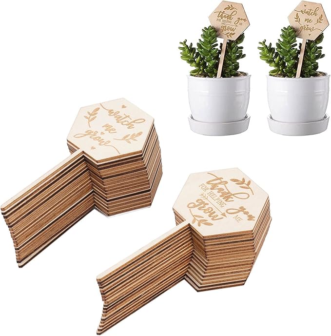 Watch Me Grow Succulent Tags, Wooden Plants Labels Thank You for Helping Me Grow Garden Marker Hexagon Planter Sign Decorations Gift for Greenhouse Potted Vegetable Seedling Baby Shower 36Pcs