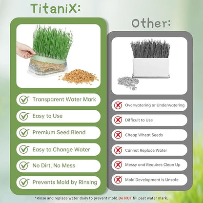 Cat Grass for Indoor Cats with 5Pack Non GMO Seeds, Organic Grass Growing Kit, Soil-Free Planter, Perfect for Beginners, Ideal Birthday Gift for Cat Lovers
