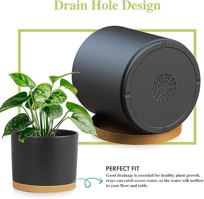 Large Plant Pots Set of 3 – 8", 9", 10" Indoor Flower Pots with Drainage Holes and Saucers, Big Planters for Monstera, Fiddle Leaf Fig, Snake Plant – 5 Colors
