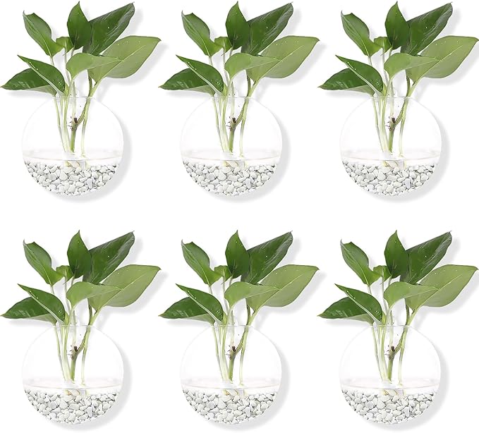 Hanging Wall Planters Pack of 6 Glass Planter Pots Round Glass Flower Vases Hanging Propagation Station Glass Plant Hanger Terrariums Wall Hanging Plant Container