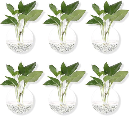 Hanging Wall Planters Pack of 6 Glass Planter Pots Round Glass Flower Vases Hanging Propagation Station Glass Plant Hanger Terrariums Wall Hanging Plant Container