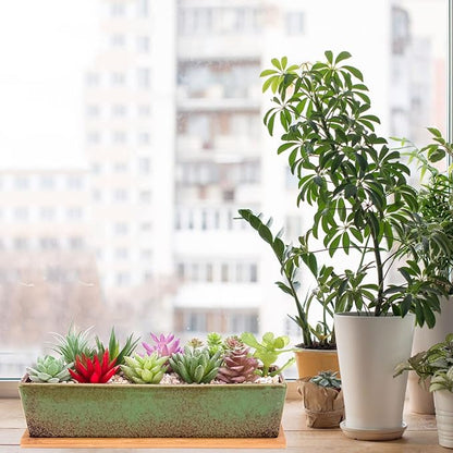 ARTKETTY Succulent Pots - Large Succulent Planter Pots with Drainage, 12 Inch Long Rectangle Bonsai Pot with Bamboo Tray Shallow Ceramic Cactus Flower Planter Window Box for Home Garden Decor (Green)