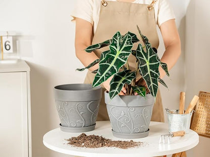 Melphoe Plant Pots Indoor with Drainage & Saucer, 2Pack 8 inch Flower Pots Outdoor Planters for Indoor Plants Garden Home Decor Cactus Succulent, Rigid Plastic (Imitation-Terracotta) Vine-Embossed