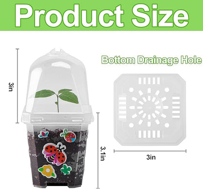 EBaokuup 10 Pack Clear Plant Nursery Pots with Humidity Dome-3" Reusable Plastic Gardening Pot with Printed Labels-Small Seed Starting Pots for Seedlings Vegetables Succulents Cuttings