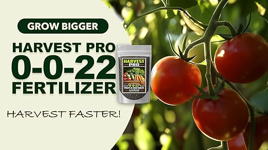 Fertilizer Commerical Grade | Harvest Pro 0-0-22 | 5 Ounces | Custom Professional Mix Blend | Potassium & Magnesium for Fruit, Citrus & Vegetable Plants | Support Bud Development, Flowering & Fruit