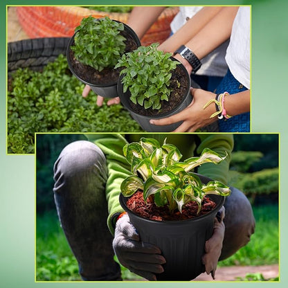 120 Pack 1 2 3 Gallon Plant Nursery Pots with 120 Plant Labels Thickened Flexible Plastic Pots for Plants Disposable Garden Pot Flower Container for Succulents Seedling Cuttings Transplanting
