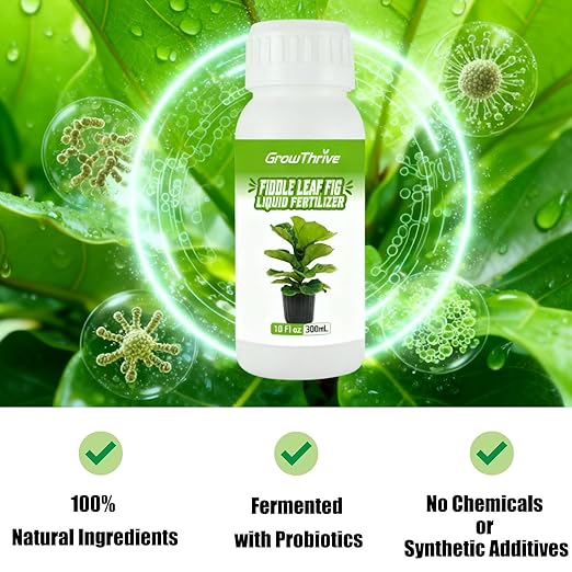 10oz Fiddle Leaf Fig Plant Food for All Fig and Other Ficus Trees, Liquid Houseplant Fertilizer for Ficus Plants, Ideal Fiddle Leaf Fertilizer, Ficus Plant Food for Improves Leaves and Branches