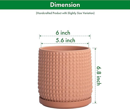 D'vine Dev Set of 2 Ceramic Plants Pots, 6 Inch Beaded Stoneware Flower Pot for Plants with Drainage Hole and Saucer, Terracotta, 27-E-X-7