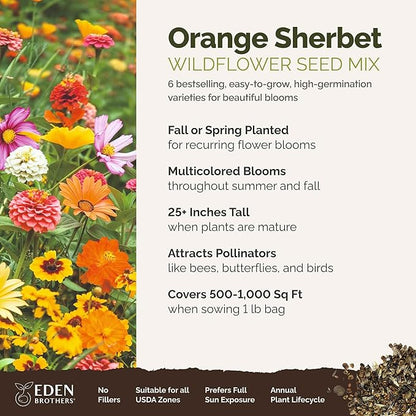 Eden Brothers Orange Sherbet Flower Mixed Seeds for Planting, 1 lb, 480,000+ Seeds with Cosmos Picotee, Bright Lights | Attracts Pollinators, Plant in Spring or Fall, Zones 3, 4, 5, 6, 7, 8, 9, 10
