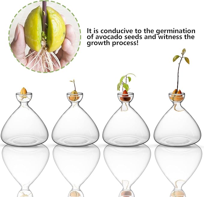 moonoom Avocado Seed Starter Vase,Avocado Vase for Growing,Avocado Seed Growing Kit Plant Glass with Avocado Stickers Gift for Gardening Lover