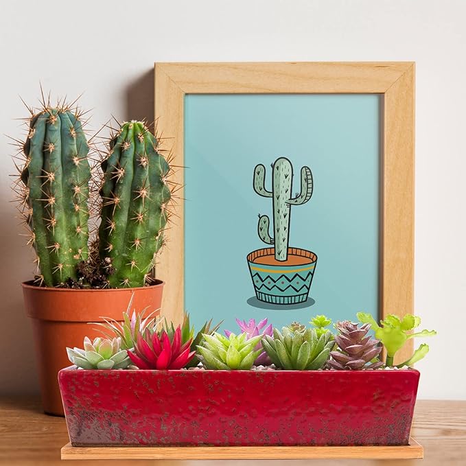 ARTKETTY Succulent Pots - Large Succulent Planter Pots with Drainage, 12 Inch Long Rectangle Bonsai Pot with Bamboo Tray Shallow Ceramic Cactus Flower Planter Window Box for Home Garden Decor (Red)