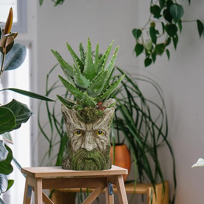 Face Planter - Unique Old Man Tree Face Planters for Outdoor Indoor Plants with Drainage Hole, Funny Plant Pots for Succulents - Creative Flower Pots as Gifts for Women and Men (Green Man)