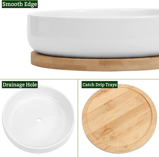 ZOUTOG Succulent Pots,6 Inch Succulent Planters with Drainage and Tray,White Ceramic Planters for Indoor Plants,Round Shallow Flower Plant Pots,Pack of 2