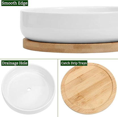 ZOUTOG Succulent Pots,6 Inch Succulent Planters with Drainage and Tray,White Ceramic Planters for Indoor Plants,Round Shallow Flower Plant Pots,Pack of 2