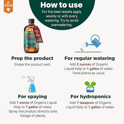 GARDENERA Premium Organic Seaweed & Kelp Superfood for Monstera Plants - 32 oz - Liquid Kelp Fertilizer Concentrate (Makes 180 Gallons)