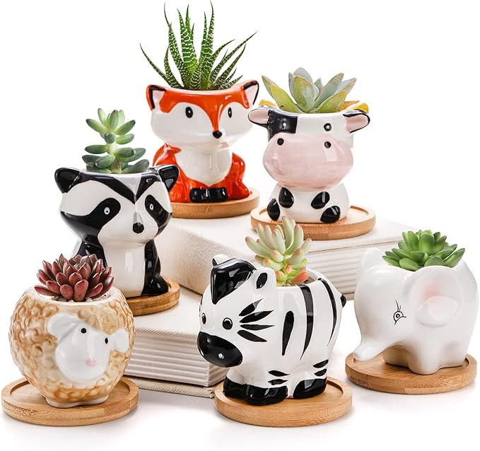 6 Pack Small Succulent Pots with Drainage Hole, 3 Inch Cute Ceramic Animal Planter with Saucer, Unique Air Plant Holder, Desktop Plant Flower Pot for Indoor Plants, Cactus, Garden, Home Decor